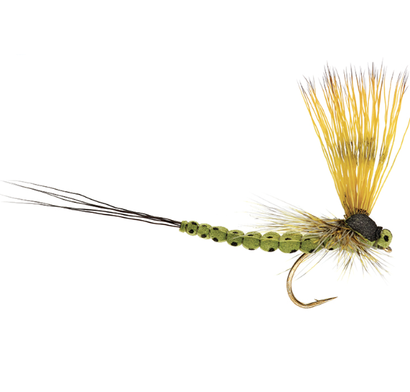 Mohican Mayfly Olive - #10