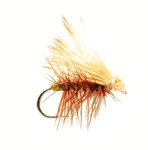 Elkwing Caddis Olive - #10