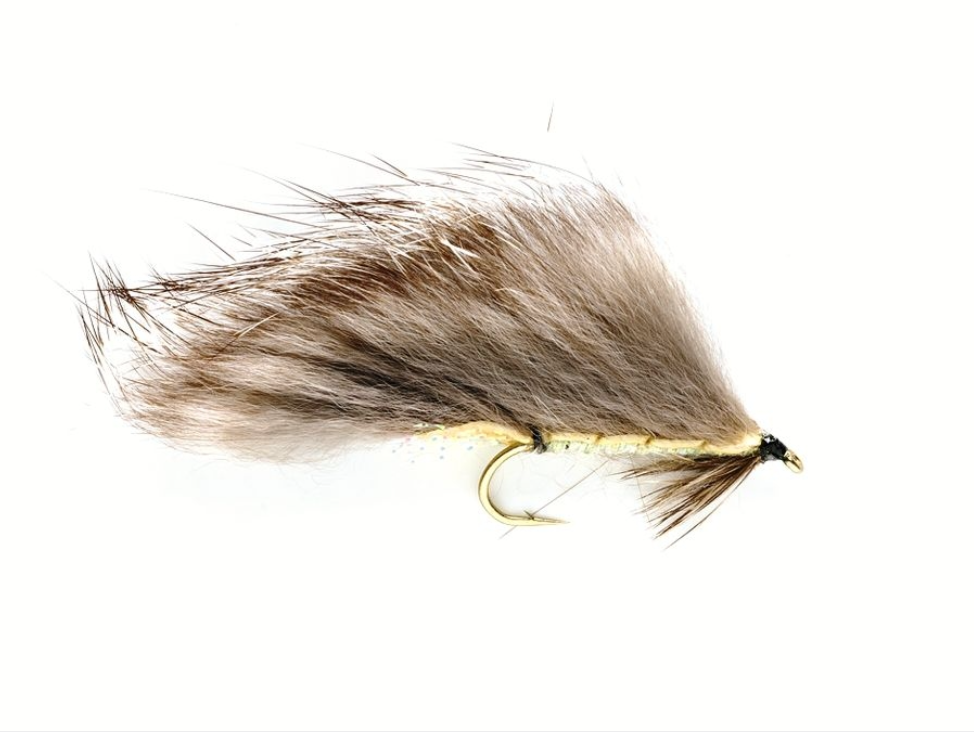 Grizzly Zonkeris - #8