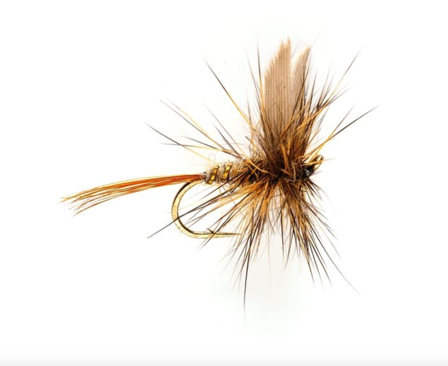 Hare's Ear (GRHE) - #16