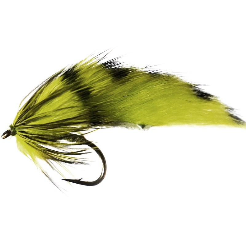 Chartreuse Zonker