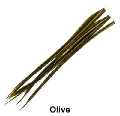 Turkey Biot - Veniard - Olive