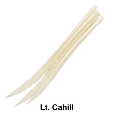 Turkey Biot - Veniard - Lt. Cahill