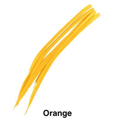 Turkey Biot - Veniard - Sulphur orange