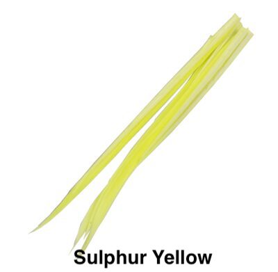 Turkey Biot - Veniard - Sulphur yellow