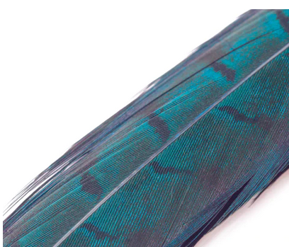 TEAL BLUE