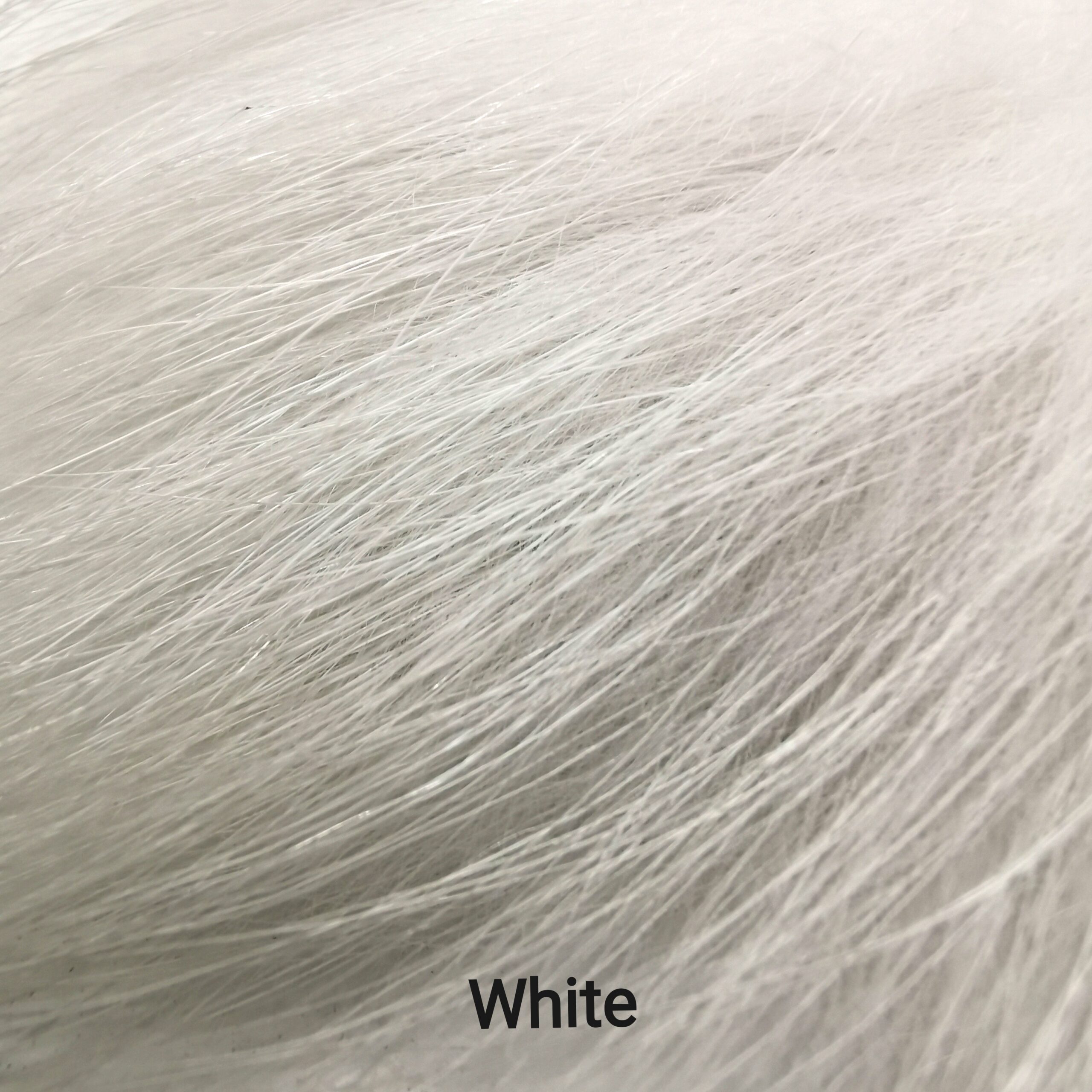 Finnraccoon - White
