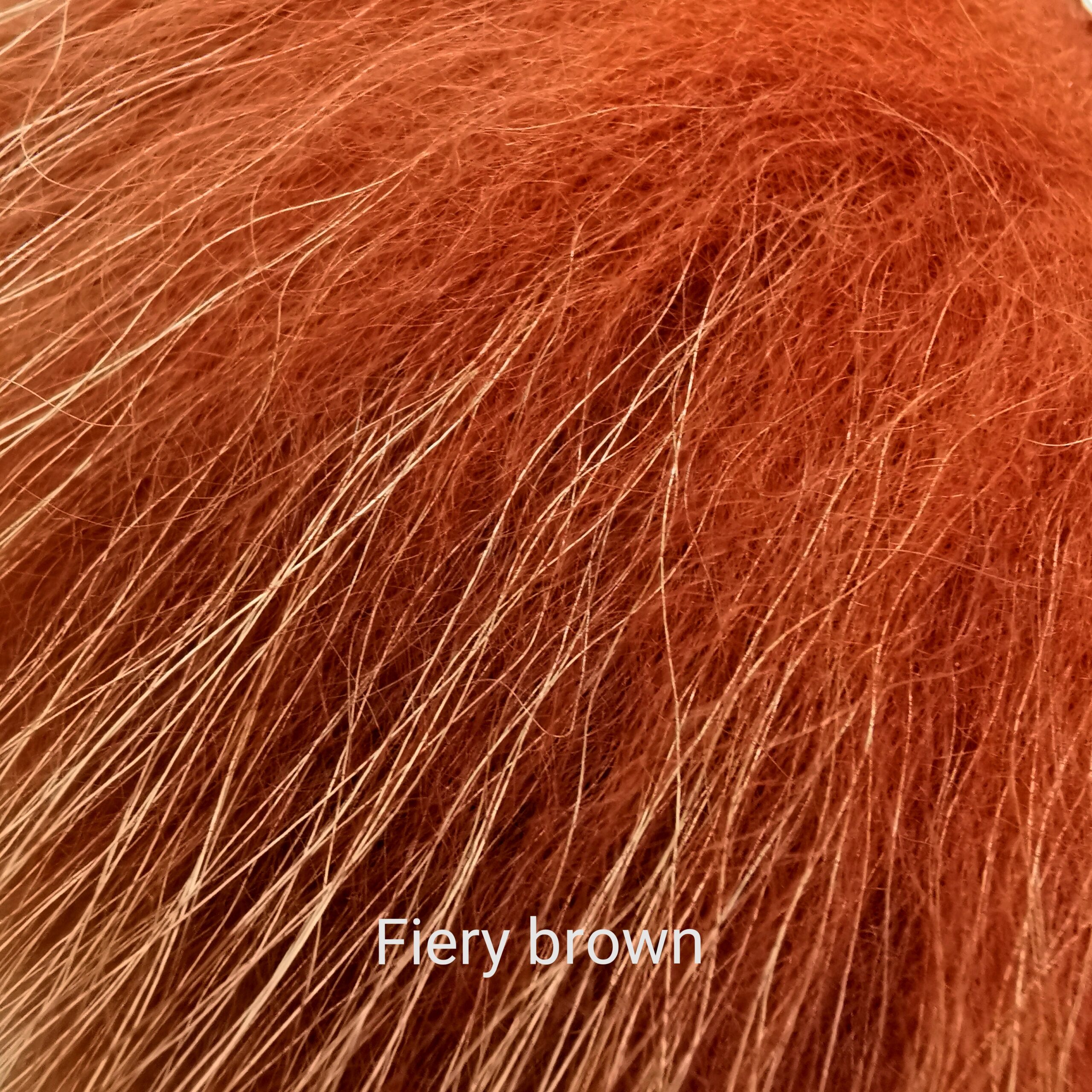 Finnraccoon - Fiery Brown