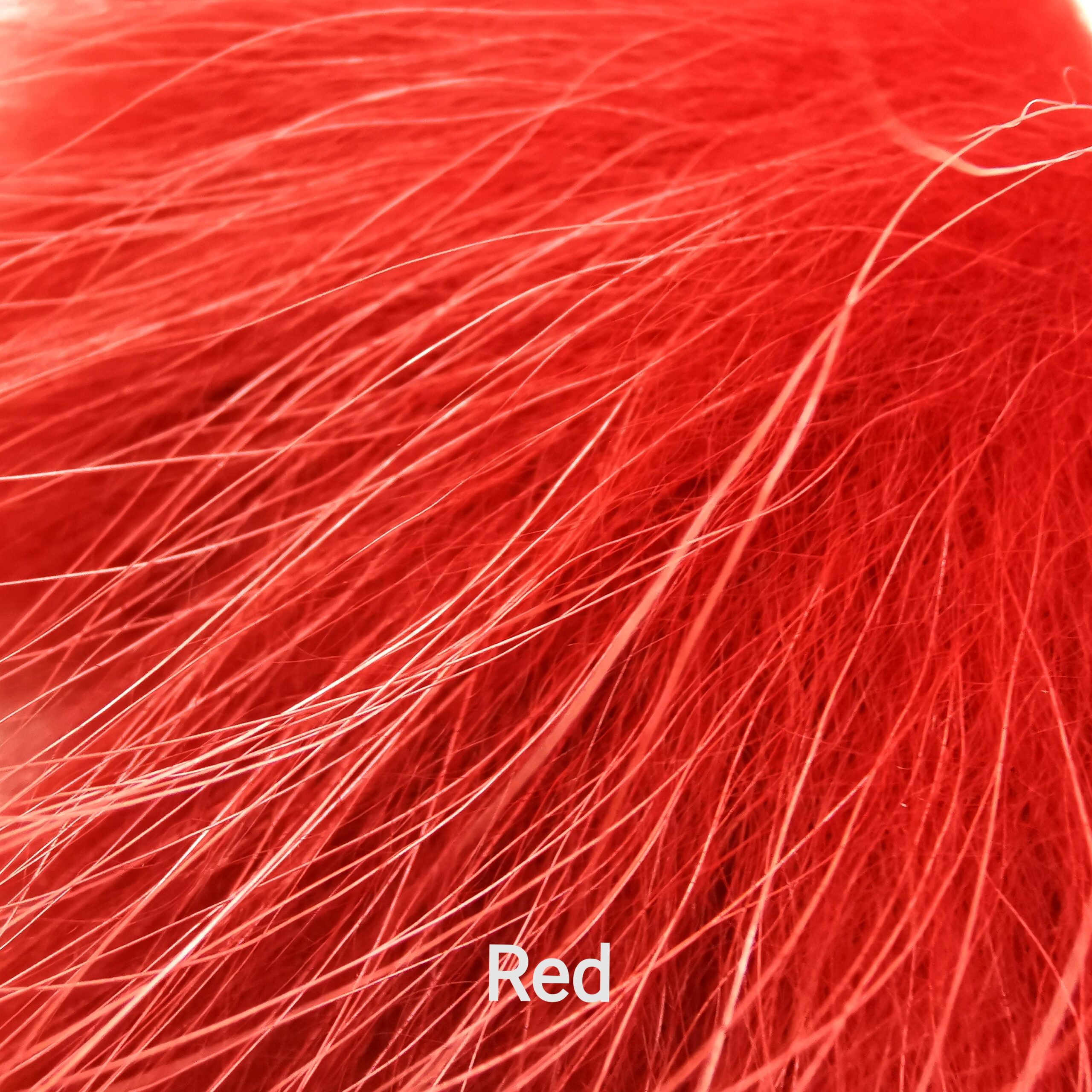 Finnraccoon - Red