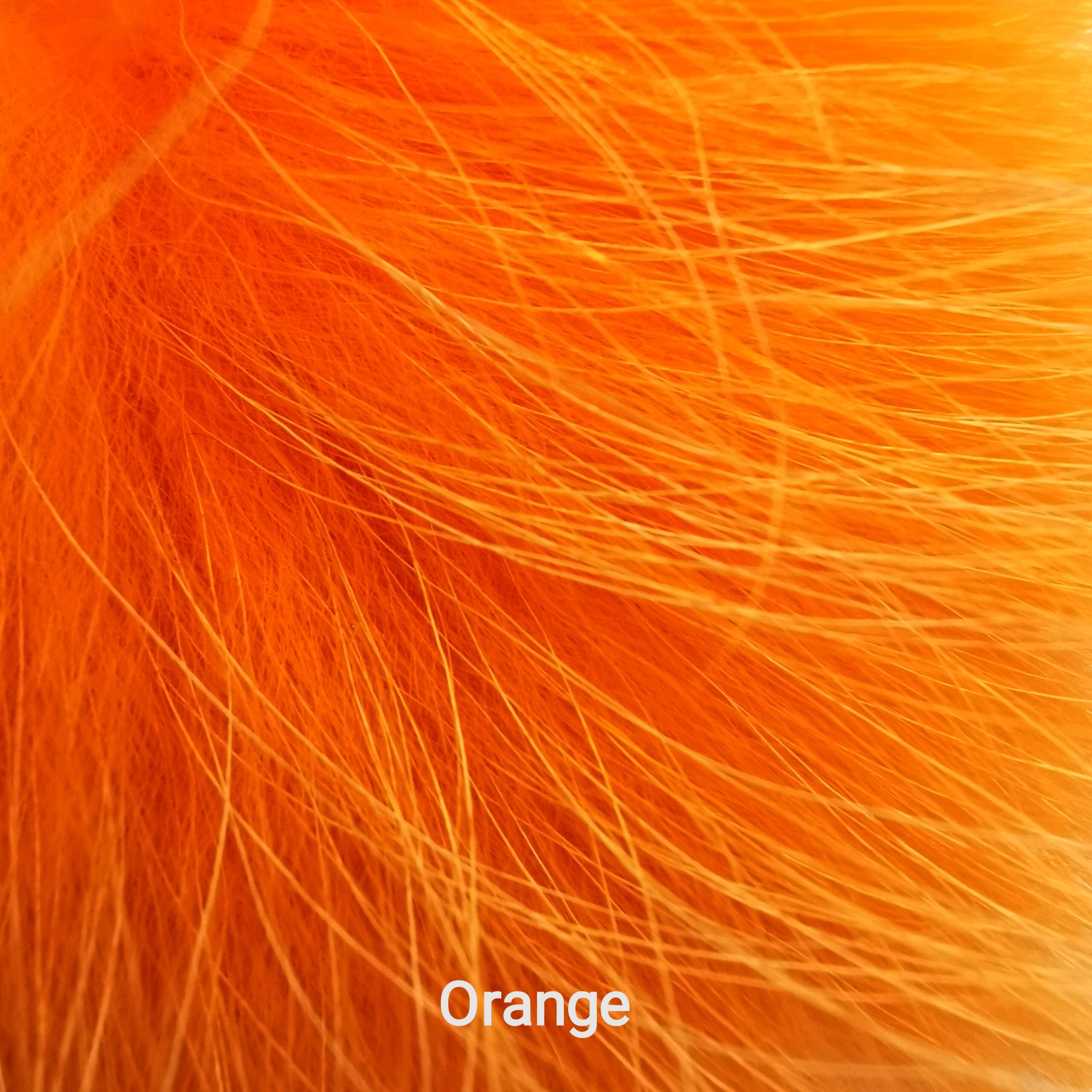 Finnraccoon - Orange