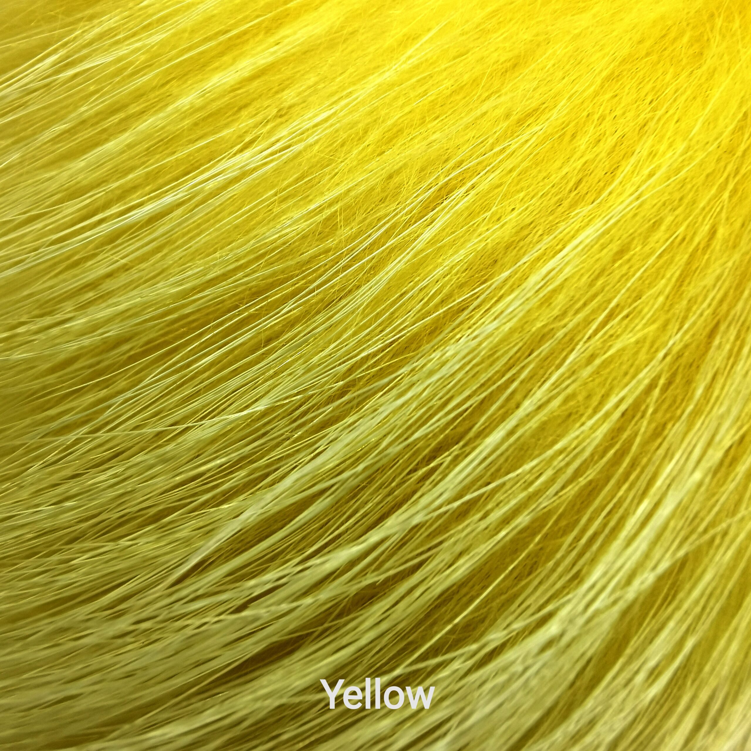 Finnraccoon - Yellow