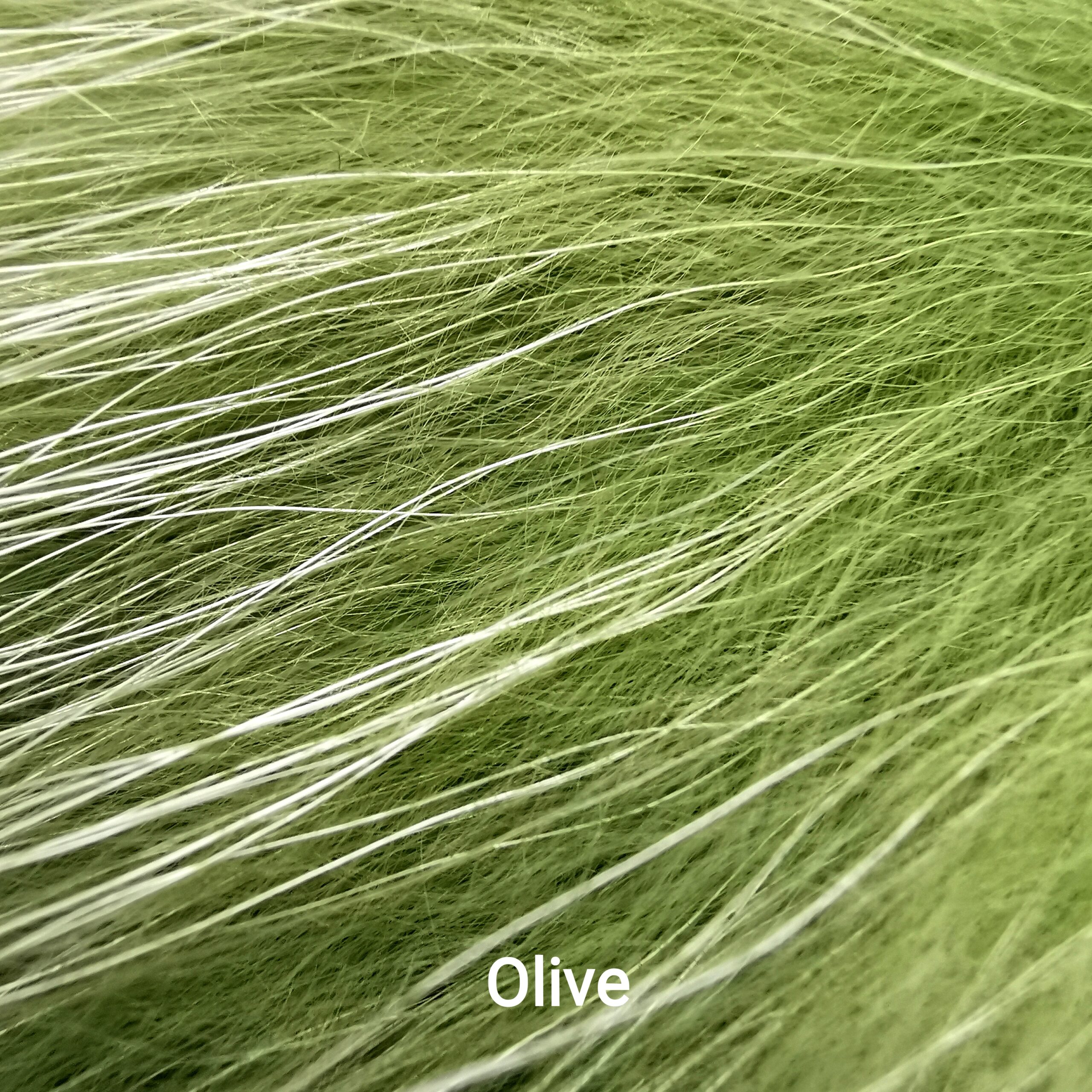 Finnraccoon - Olive