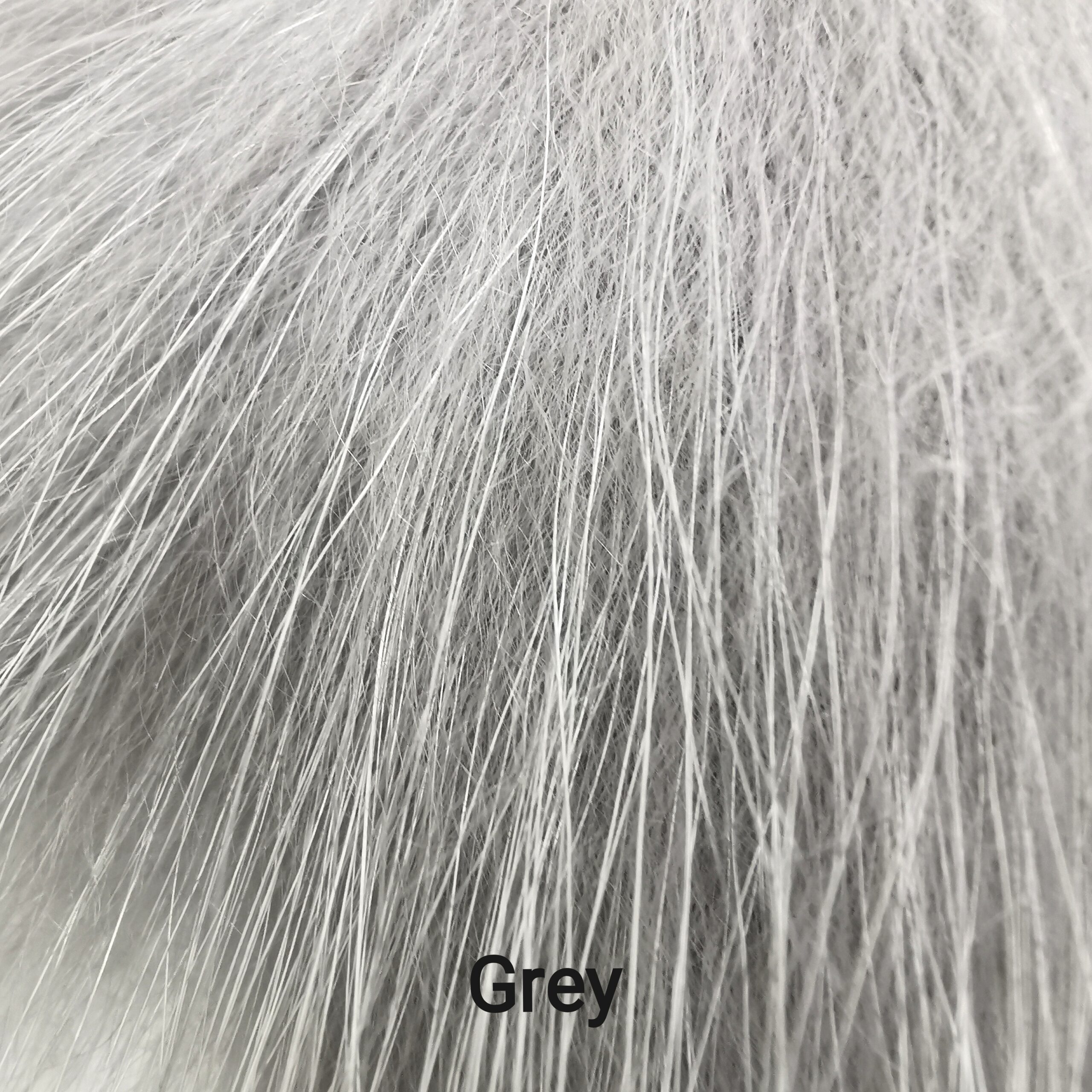 Finnraccoon - Grey