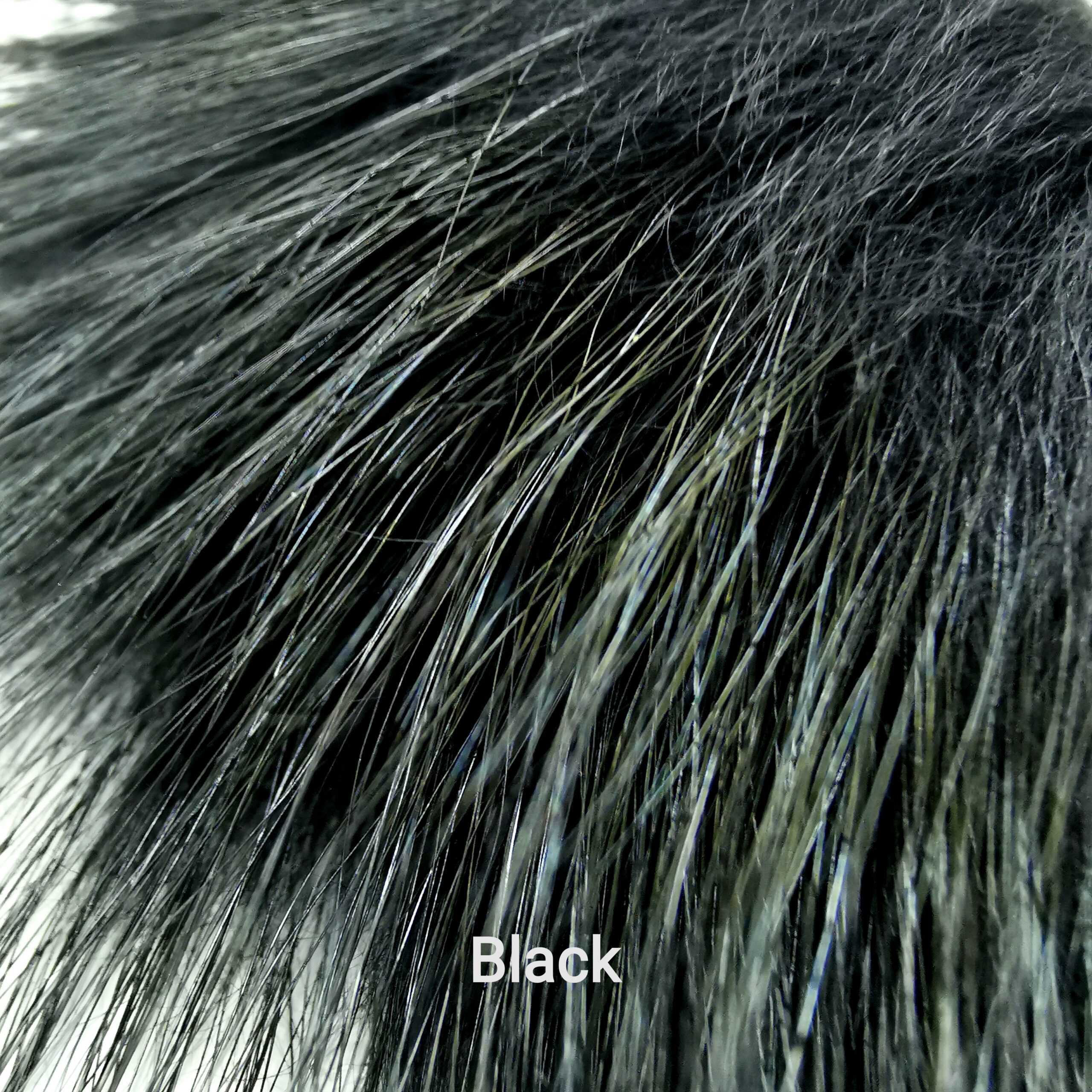 Finnraccoon - Black
