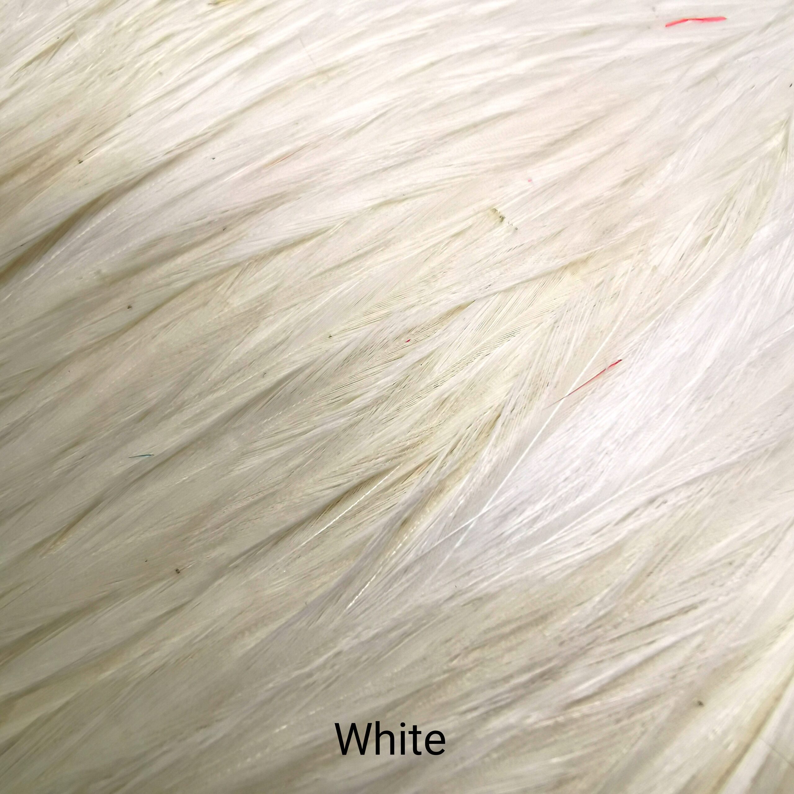Indian Cock Skalpas - Veniard - White