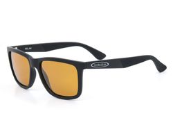 VISION Aslak Amber