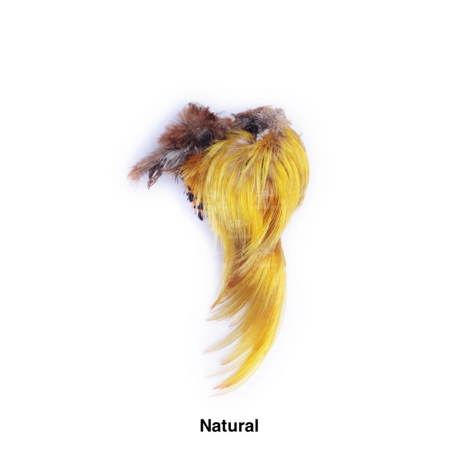 Auksinis fazanas - Natural