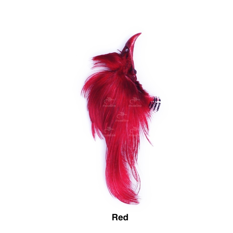 Auksinis fazanas - Red