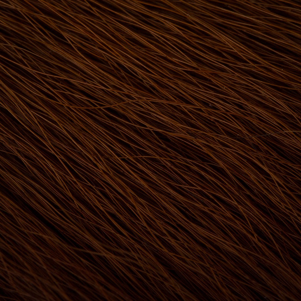 Elnio uodega mažas - Wapsi - Brown