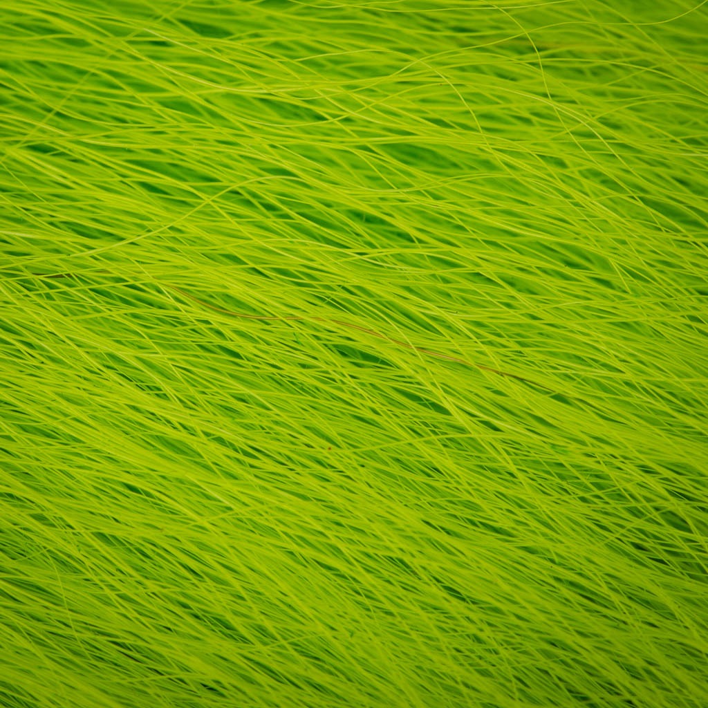 Elnio uodega mažas - Wapsi - Fl. Chartreuse