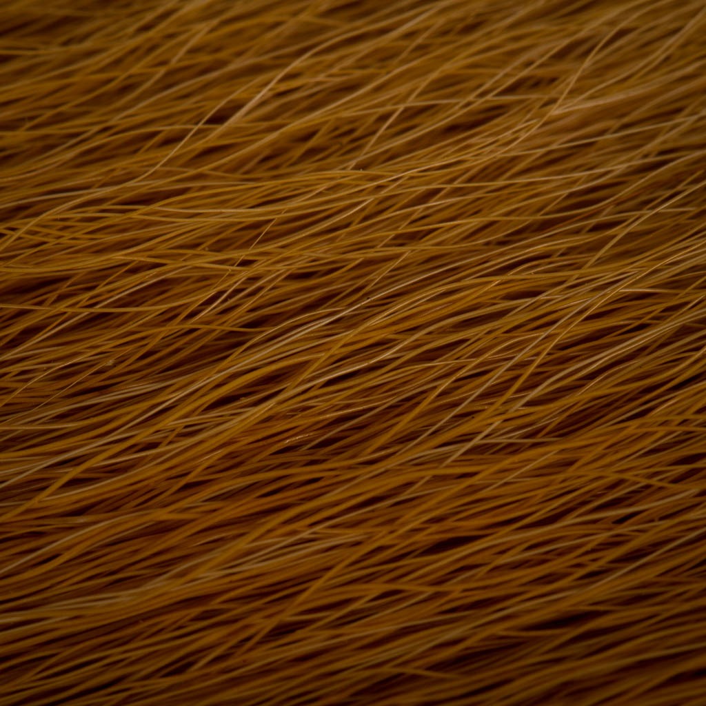 Elnio uodega didelis - Wapsi - Brown