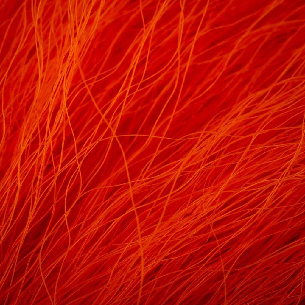 Elnio uodega mažas - Wapsi - Fl. Orange