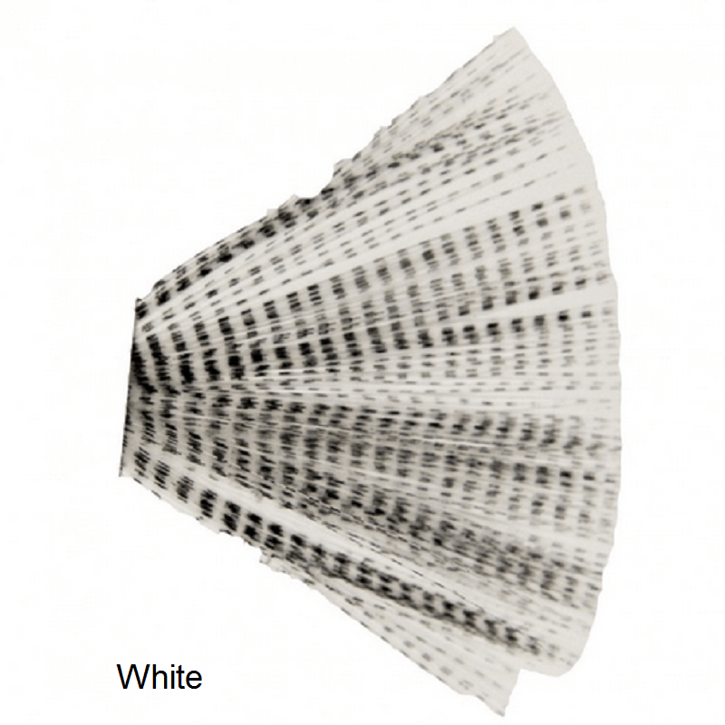 Veniard Barred Uodegos - White